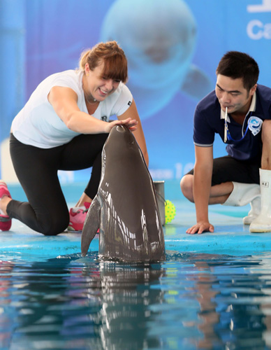 对于纽卡斯 对于纽卡斯