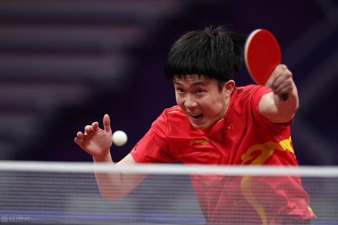 关注的原因 关注的原因