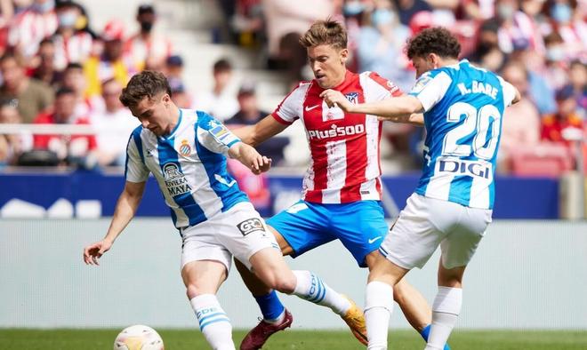 受体育的魅 受体育的魅